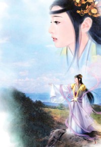 (綜漫同人)海賊:我是路飛的姐姐