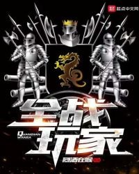 全战玩家